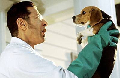 Jeff in Cats and Dogs